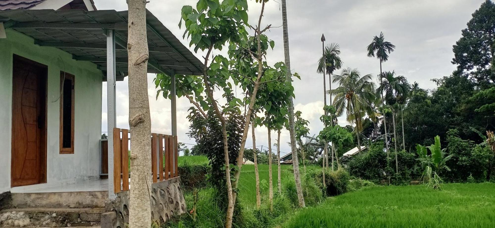Bayan Exotic Homestay Senaru Esterno foto