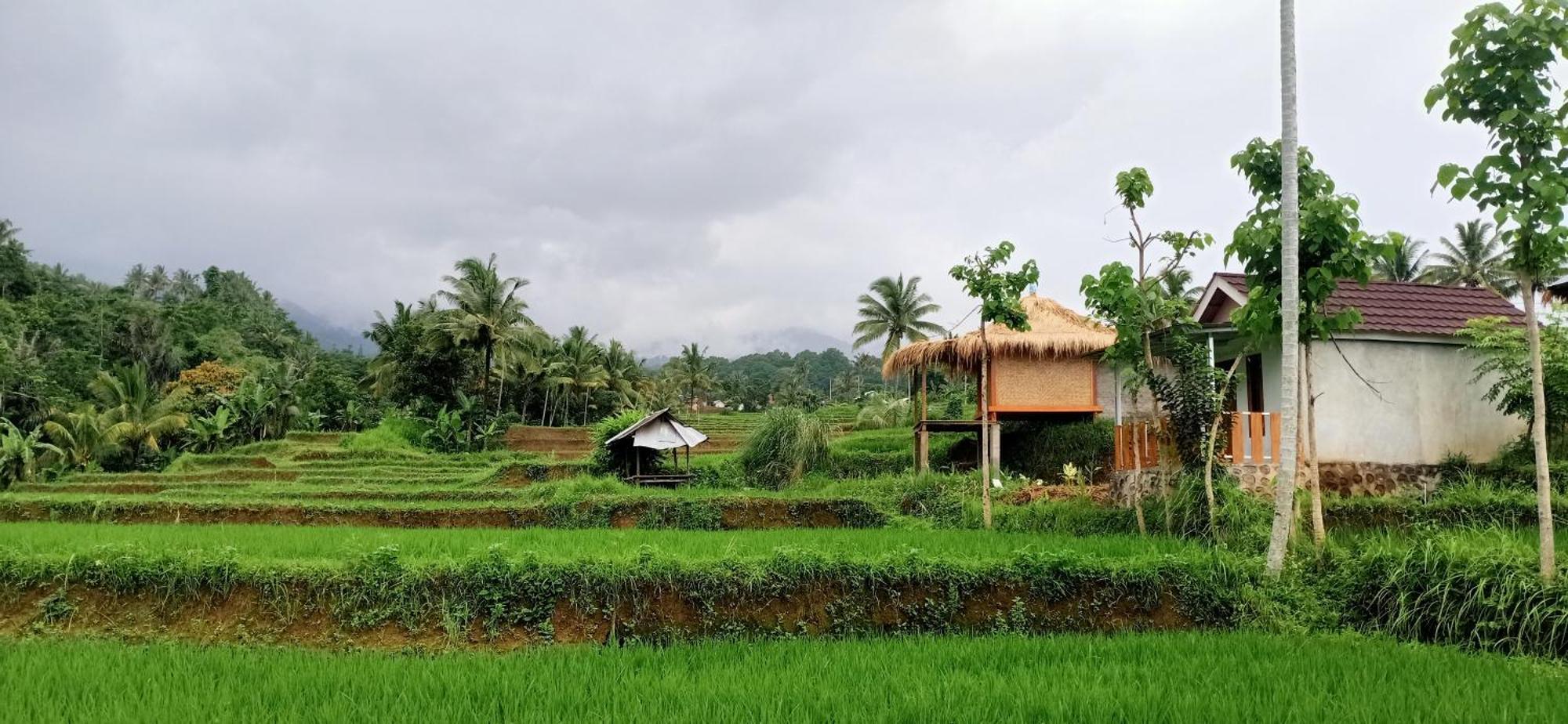 Bayan Exotic Homestay Senaru Esterno foto