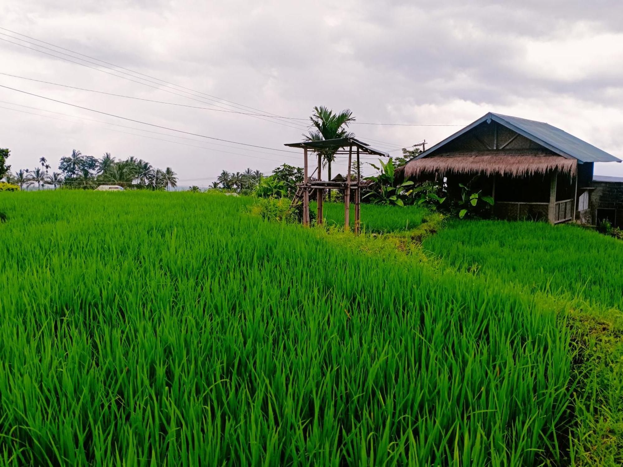 Bayan Exotic Homestay Senaru Esterno foto