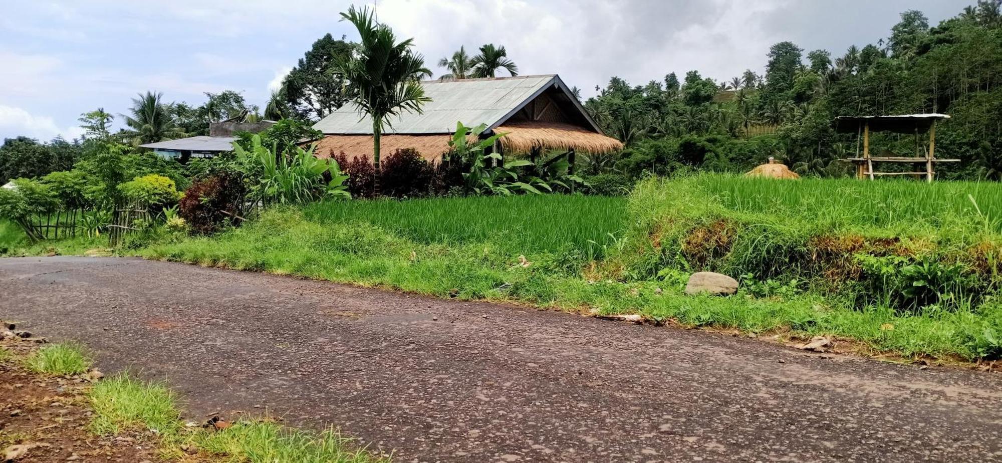 Bayan Exotic Homestay Senaru Esterno foto