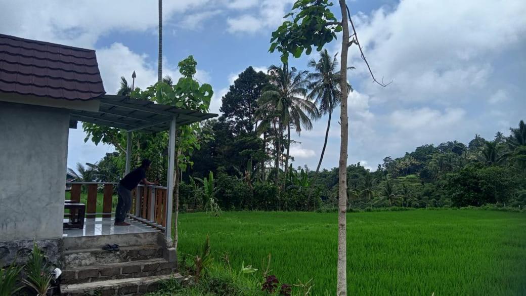 Bayan Exotic Homestay Senaru Esterno foto
