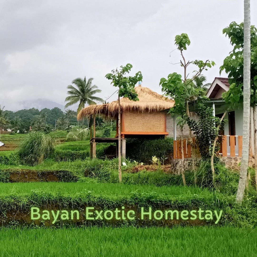 Bayan Exotic Homestay Senaru Esterno foto