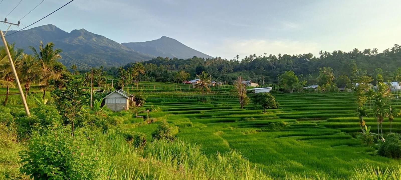 Bayan Exotic Homestay Senaru Esterno foto